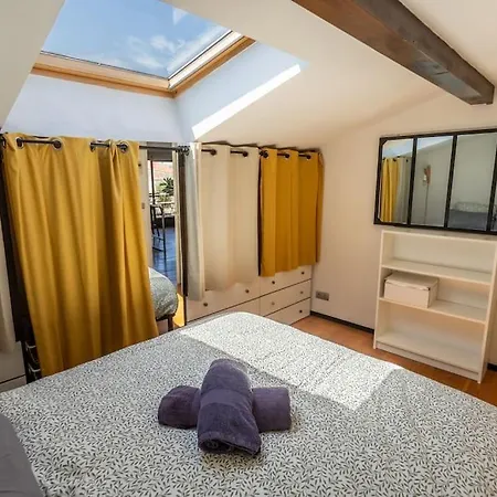 Roof In Center Of Toulouse-free Parking- Toulouse