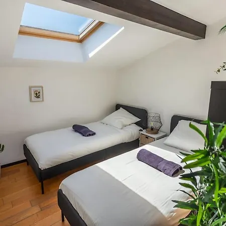 公寓 Roof In Center Of Toulouse-free Parking-