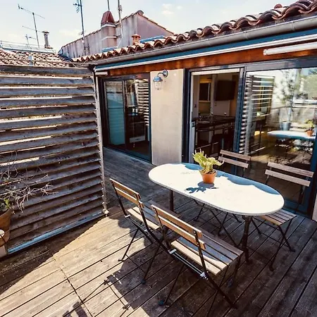 Roof In Center Of Toulouse-free Parking- * 圖盧茲