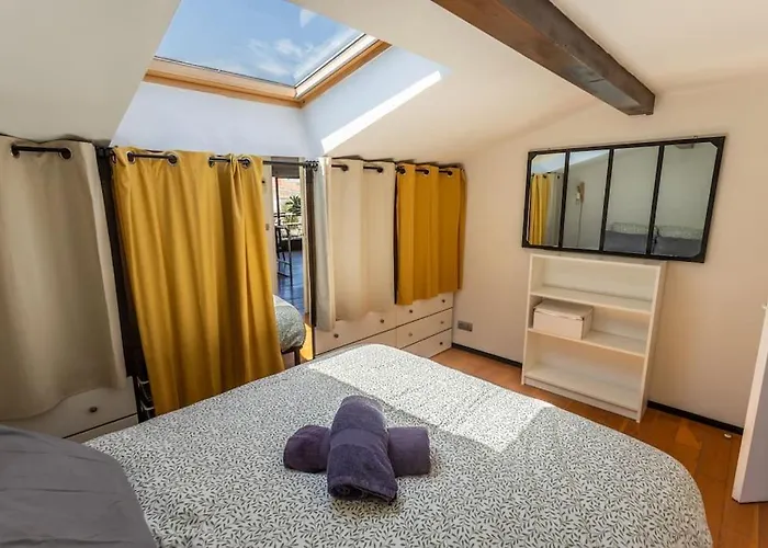 Roof In Center Of Toulouse-free Parking- Toulouse