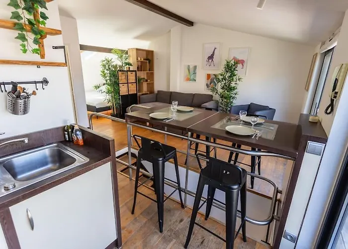 Roof In Center Of Toulouse-free Parking- * Toulouse