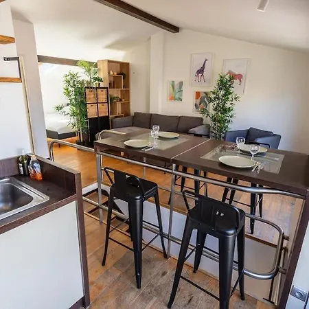 Roof In Center Of Toulouse-free Parking- * Toulouse